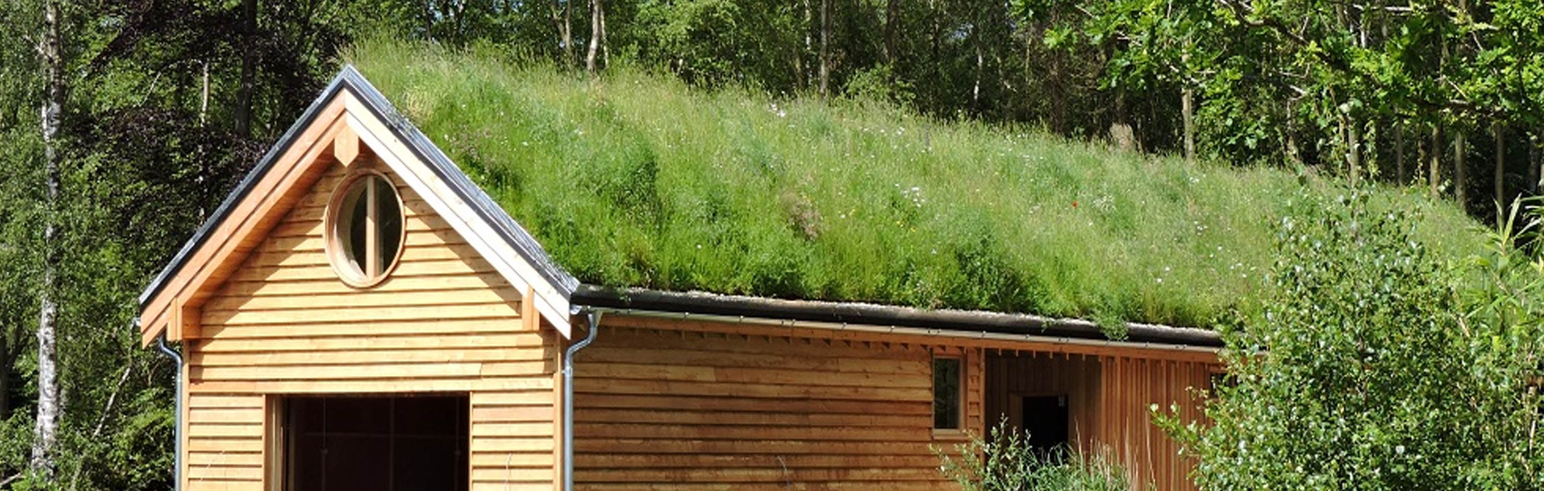 Garden Grass Domestic Roof Space