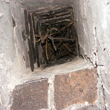 Chimney Bird Nest Removal Twigs